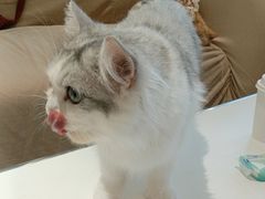 -怪兽屋·羊驼·猫咖·狗咖(俊华广场店)