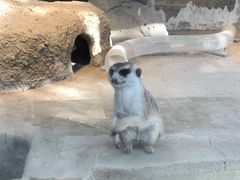 -洛阳龙门海洋馆