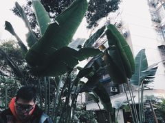 -Carpe Diem精酿空间