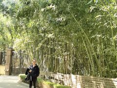 -春晖园度假酒店温泉