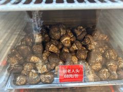 -太婆天府山珍酒楼(亚运村店)