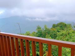 -三亚亚龙湾人间天堂鸟巢度假村