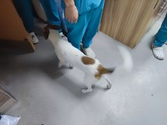 -联合动物医院(光谷诊疗中心)