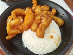 -馋嘴鸭快餐店