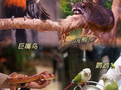 -正佳雨林生态植物园