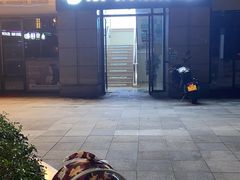 -谐和贝康宠物医院24小时·宠保定点(急重症转诊中心)