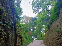 -乌山风景区