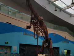 -陕西自然博物馆