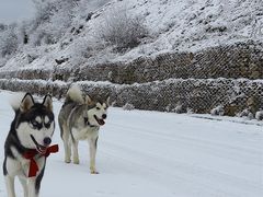-太子岭滑雪场