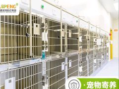 -美联众合爱康动物医院•复杂内科•肿瘤科•牙科•腔镜诊疗中心
