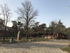 -洛阳古墓博物馆