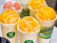 -茉酸奶(春熙路店)