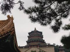 -颐和园