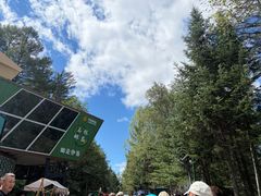 -汤旺河林海奇石景区