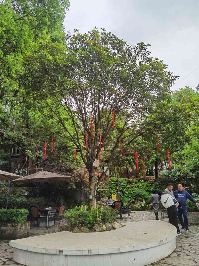 隱江南花園火鍋-爸爸給的霸王餐 景美到想擁有這片山[愛心.