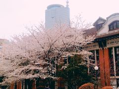 -上海交通大学医学院附属瑞金医院(总院)