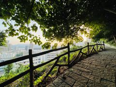 -梧桐山风景名胜区