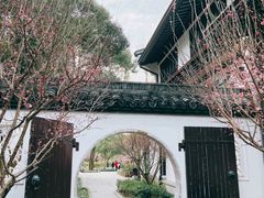-上海醉白池公园