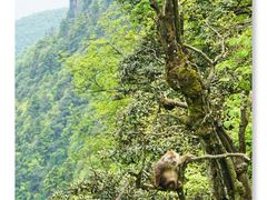 -海底捞火锅(龙湖北京大兴天街店)