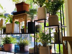 -蝶舍·MAISON PAPILLON