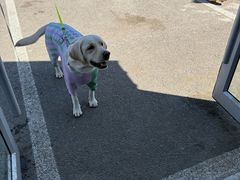 -小意思咖啡店(草桥店)