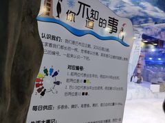 -芜湖新华联大白鲸海洋公园