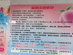 -老袁家蜜桃农场·阳山水蜜桃