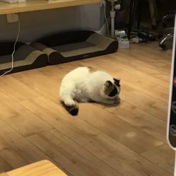 -沫儿·美甲美睫·半永久·皮肤管理