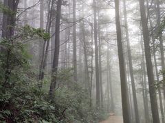 -白草畔自然风景区