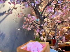 -蜜桃餐厅·伴山(海岸城店)