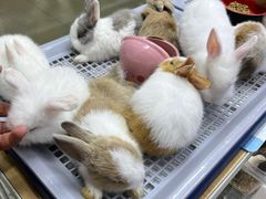 -三旗百汇商品城