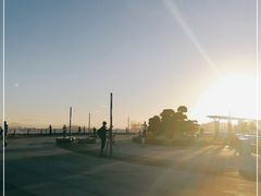 -演武大桥观景平台