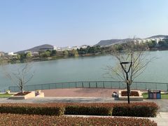 -羊山湖公园