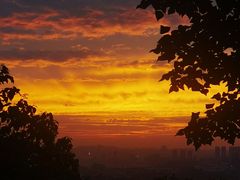 -铁山坪森林公园