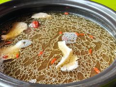 -百菇园野生菌煲(平武店)