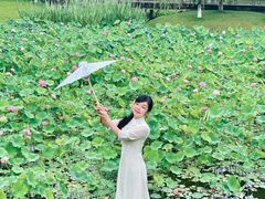 -沐仙湖湿地公园