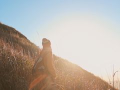 -萍乡武功山风景名胜区