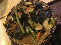 -呀路古热带植物园