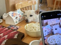 -柴の食堂·日式家庭料理·熊之肆(大学路店)