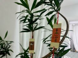 -原生美学·SMP3D纹发·纹野生眉