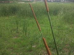 -禹城市禹王亭博物馆