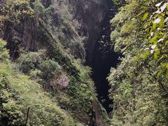 -龙水峡地缝景区