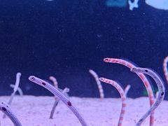 -多彩贵州城极地海洋世界