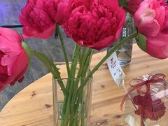 -荷兰花海