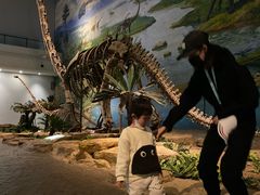 -自贡恐龙博物馆