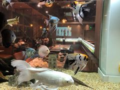 -黄鱼炙夜(华家池店)