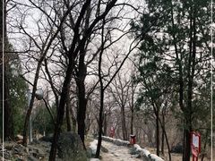 -阳台山自然风景区