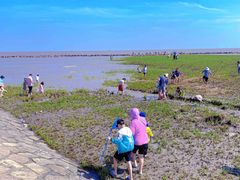 -南汇嘴观海公园