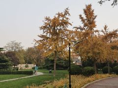 -方庄体育公园