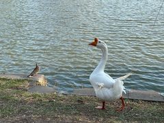 -天津水上公园